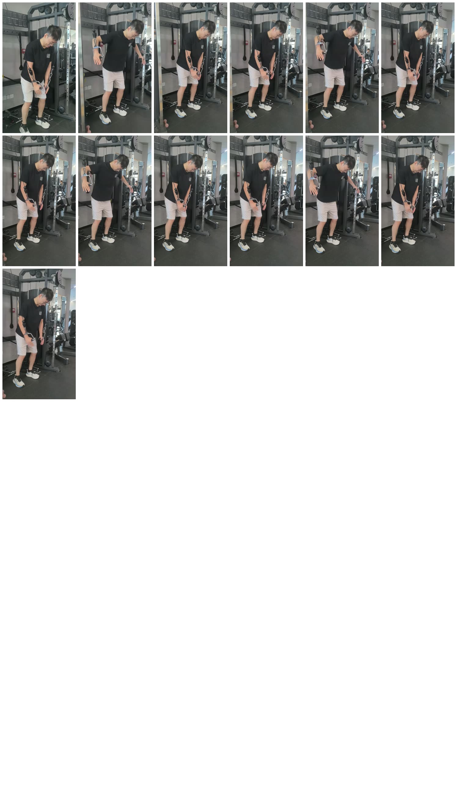 单臂绳索 / 肩胛控制关键帧