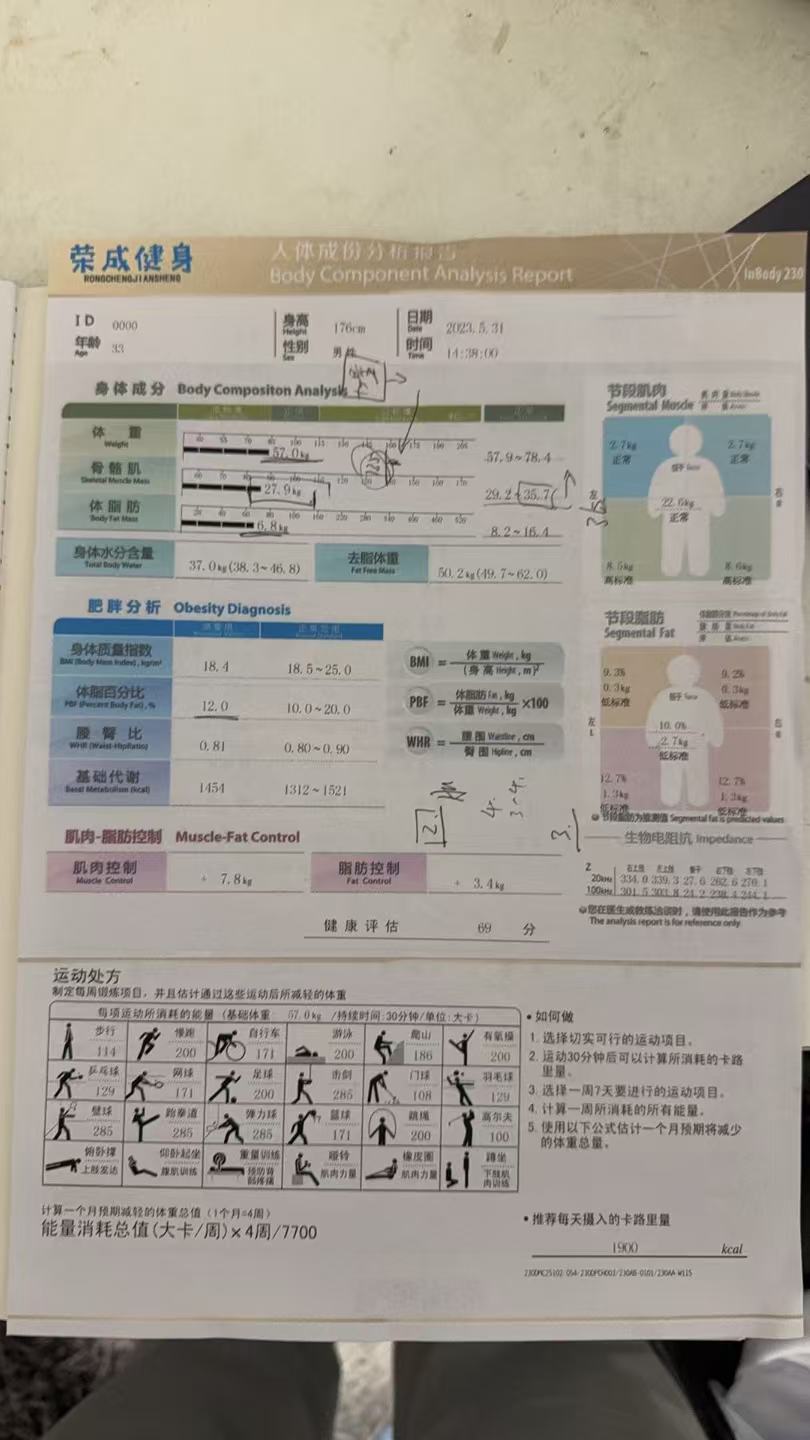 体成分报告